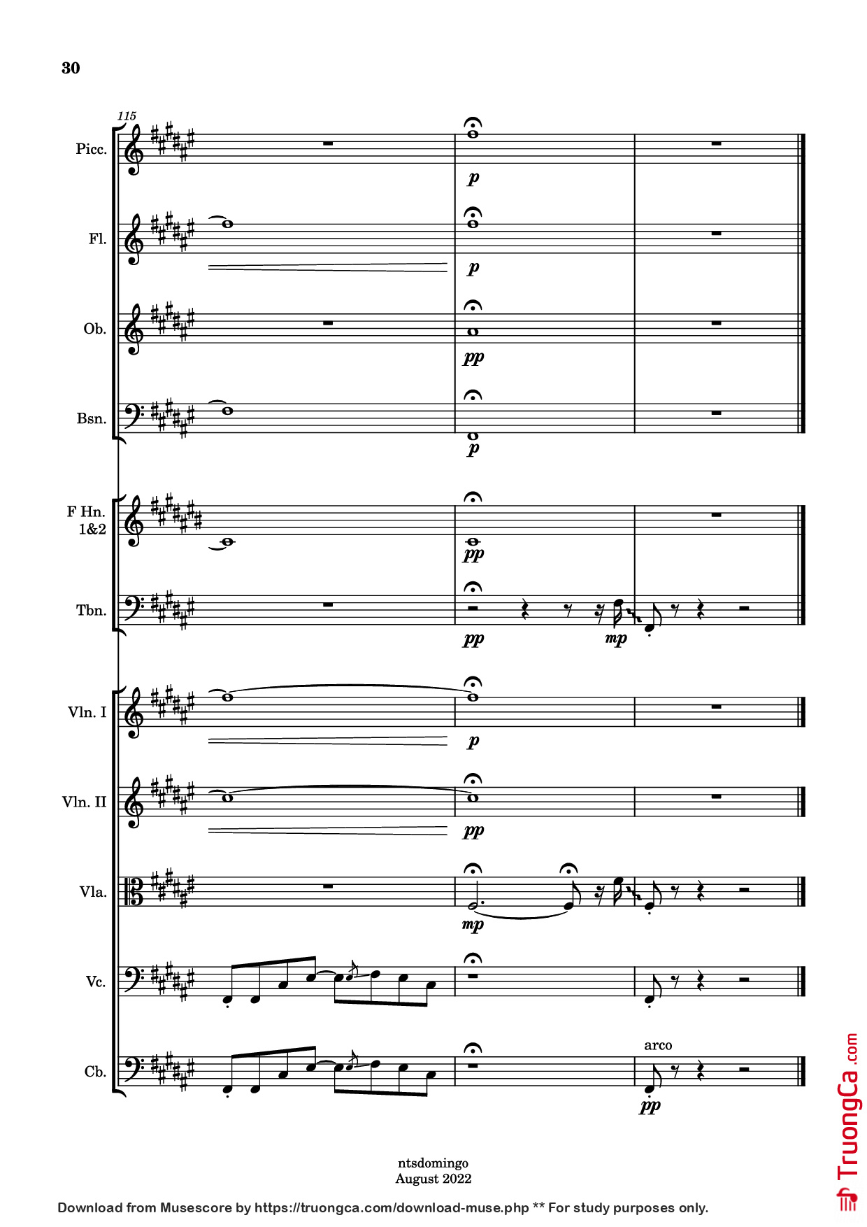 Trang 30 của Sheet nhạc PDF bài hát ALAPAAP - Arranged by Nina Domingo