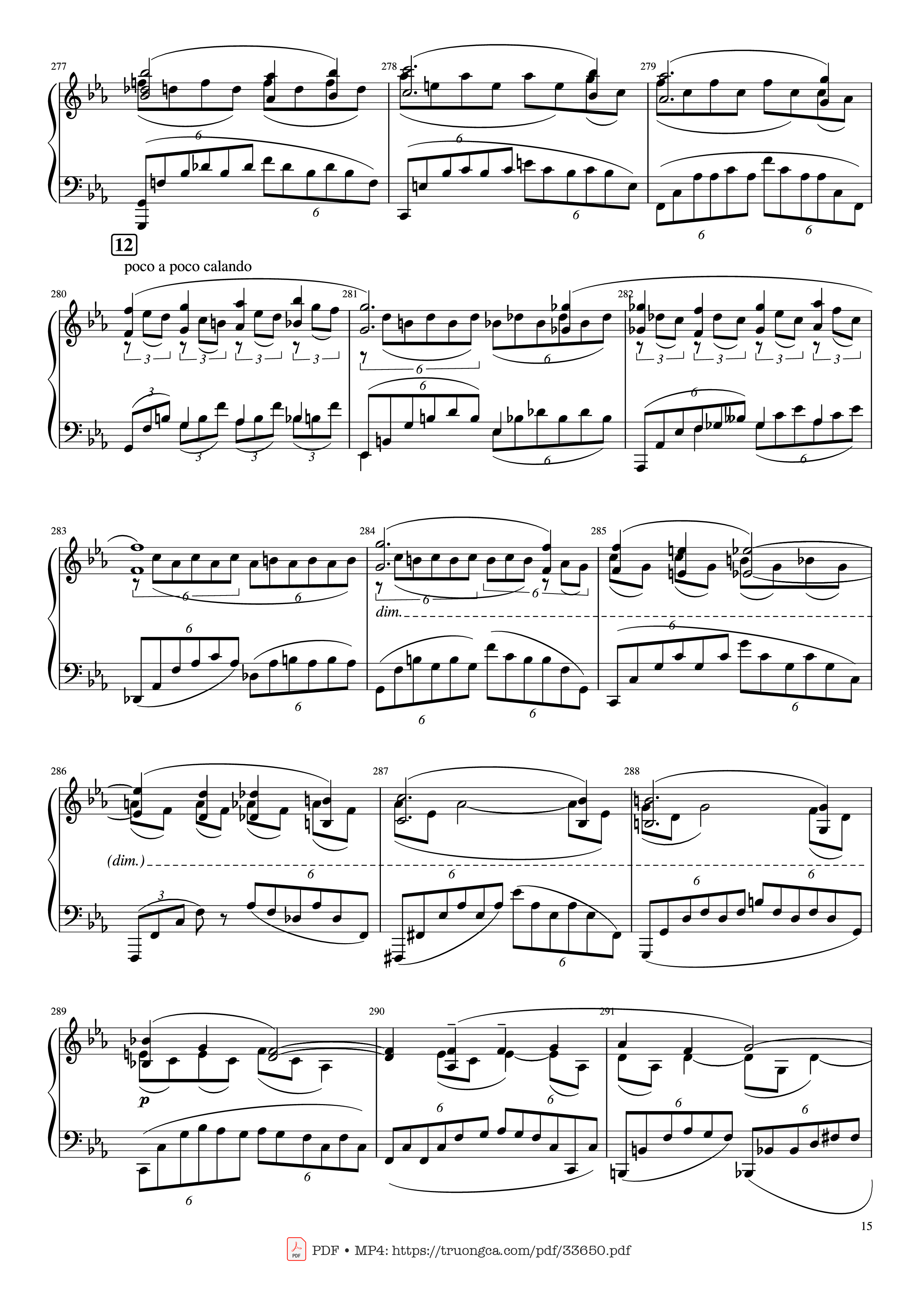 Trang 15 của Sheet nhạc PDF Piano bài hát Piano Concerto No.2 Op.18 - Rachmaninov - Serguei Rachmaninoff
