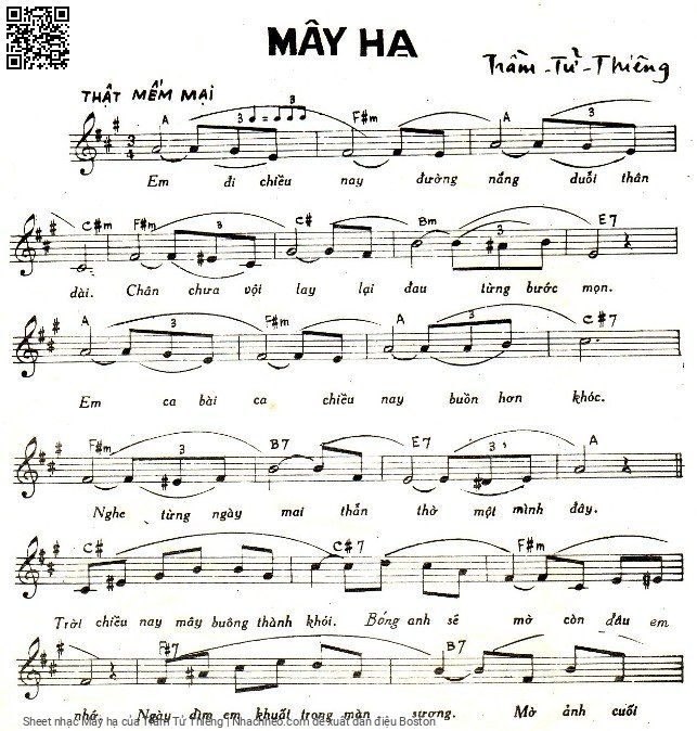 Mây hạ - Trầm Tử Thiêng