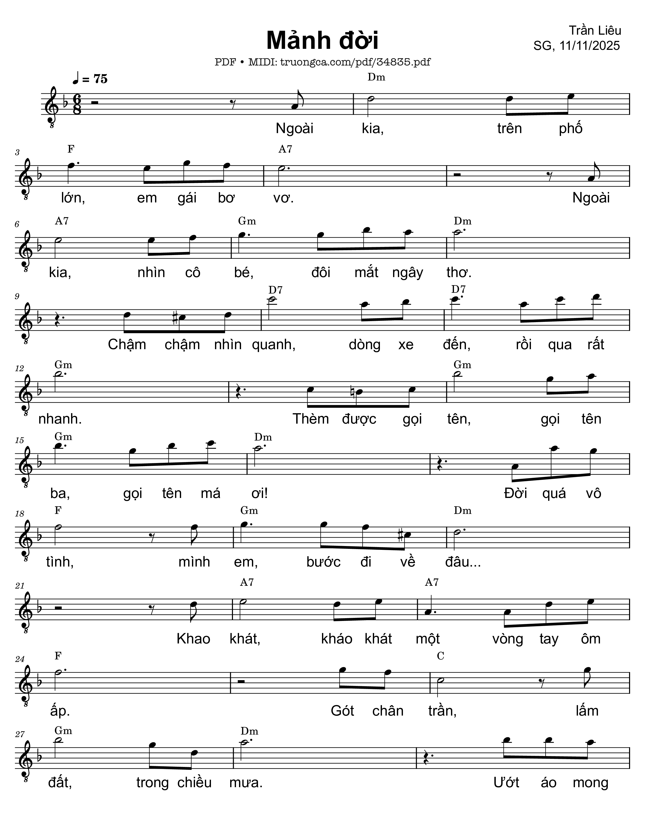 Mảnh đời - Trần Liêu