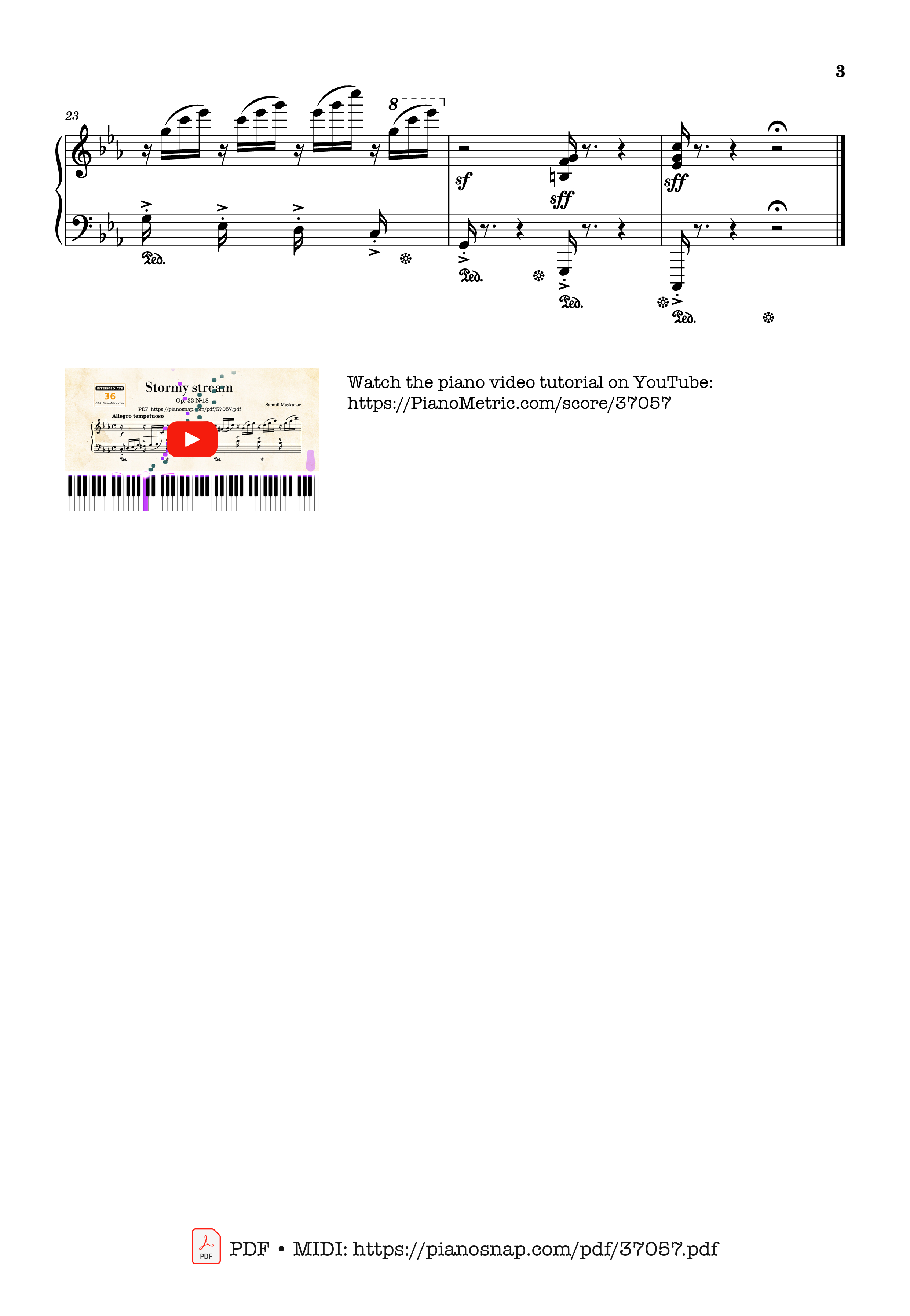 Trang 3 của Sheet nhạc PDF bài hát Etude Op. 33 No. 18 Stormy stream - Samuil Maykapar