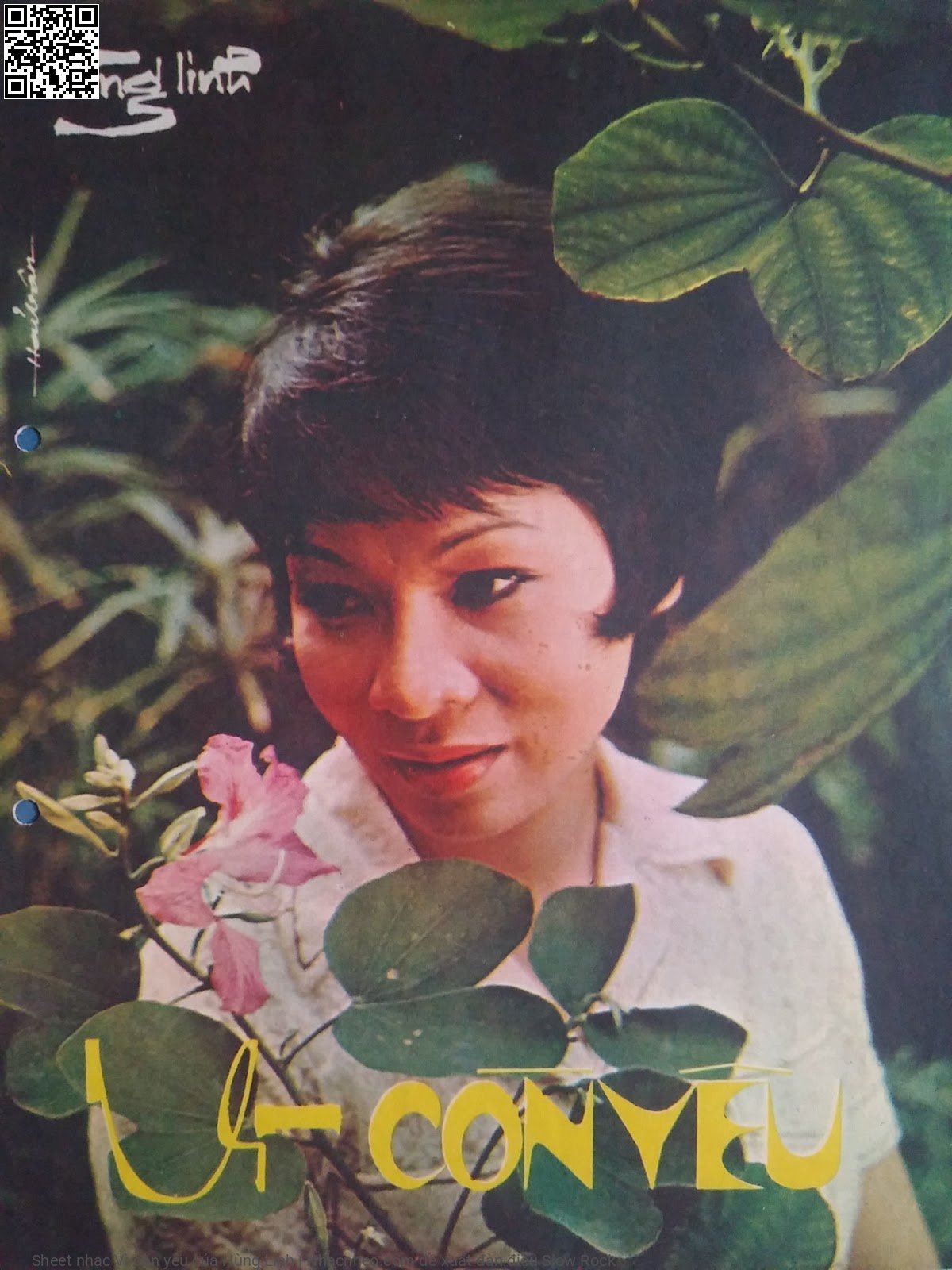 Vì còn yêu - Hùng Linh