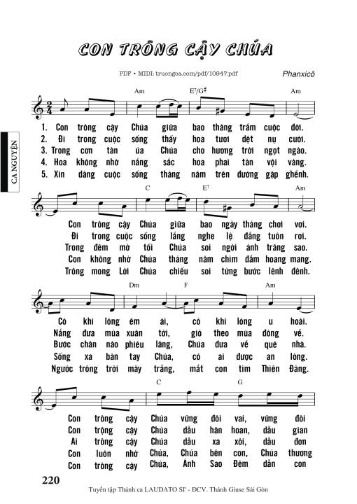 Con Trông Cậy Chúa