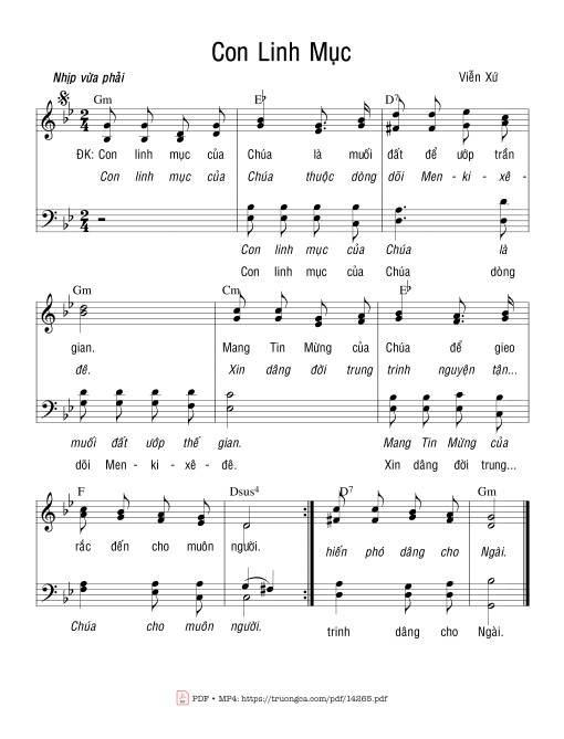 Con Linh Mục - Viễn Xứ