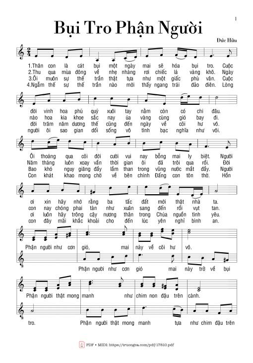 Bụi Tro Phận Người