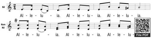 Thtm. Chúa Nhật 4C Mùa Vọng