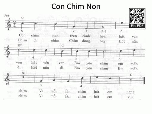 Con Chim Non - Đổ Trọng