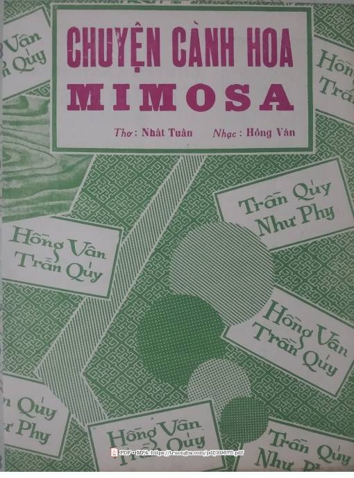 Chuyện cành hoa mimosa