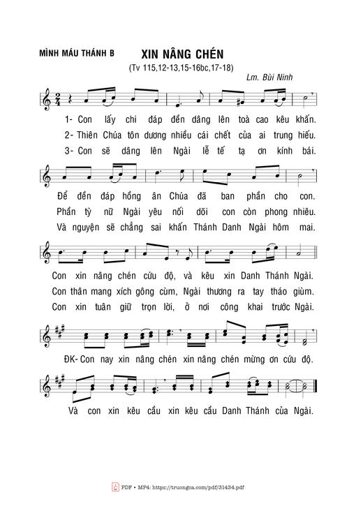 Xin Nâng Chén - Bùi Ninh