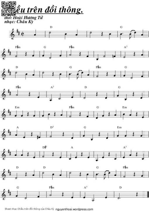 Chiều trên đồi thông